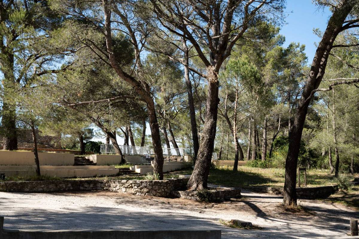 Poda de ramas secas en aparcamientos rurales